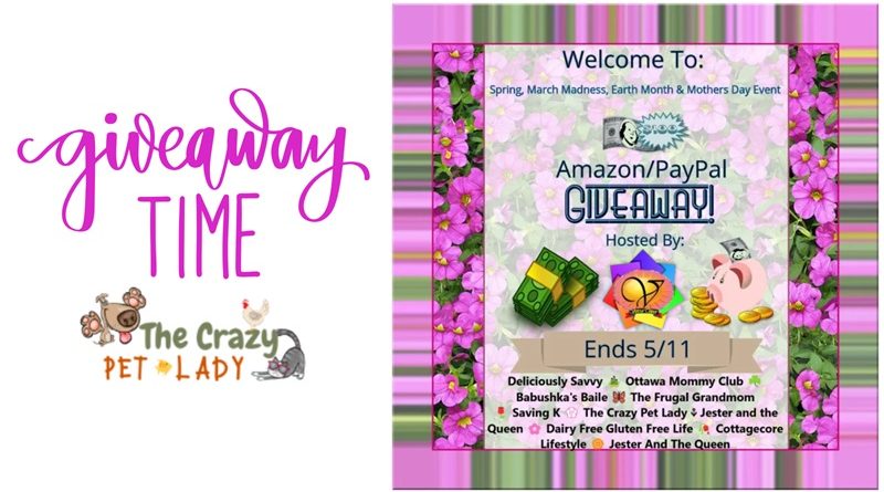 $100 Amazon eGift Card or PayPal Cash Giveaway