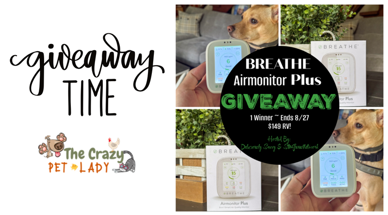 BREATHE Airmonitor Plus Giveaway