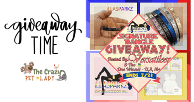 Beautiful iLLASPARKZ Signature Bangle Giveaway